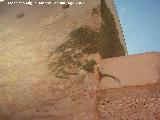 Torre de Doa Blanca. Lateral
