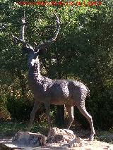 Ciervo - Cervus elaphus. Estatua en Aldeaquemada