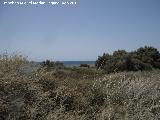 Playa Torre Garca. 