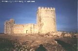 La Mota. Alcazaba. 