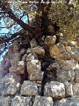 Torren de los Pedregales. Almendro que terminar con la torre