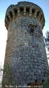 Torren de la Dehesilla. 