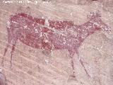 Pinturas rupestres del Abrigo de las Olivanas. Ciervo