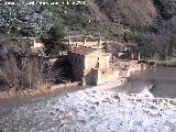 Molinos. 