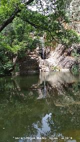 Charco del Negrillo. 