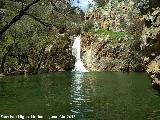 Charco del Negrillo. 