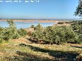 Pantano del Guadaln. Desde la finca del Vizconde