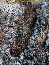 Necrpolis visigoda del Cerro Salido. Tumba cercana a la Cueva de las Sepulturas