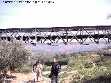Viaducto Bajo. 