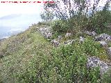 Oppidum del Cerro Algarrobo. Muralla ciclpea