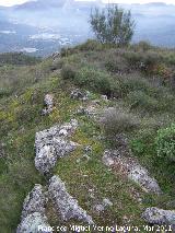 Oppidum del Cerro Algarrobo. Muralla ciclpea