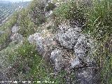 Oppidum del Cerro Algarrobo. Muralla ciclpea