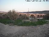 Puente Nuevo de las Rentillas. 