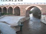 Puente Nuevo de las Rentillas. 