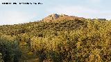 Pago de las Cimbras. Desde la ladera de enfrente de la Central Hidroel�ctrica R�o Fr�o - Los Villares
