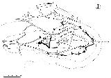 Muralla. 