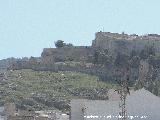 Muralla. 