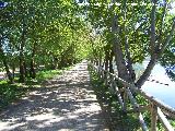 Laguna Grande. Camino