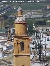 Iglesia de San Carlos El Real. Campanario