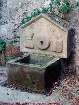 Fuente del Batn. 