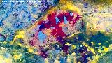 Pinturas rupestres de la Pe�a del Gorri�n IV. Tratada con Dstretch