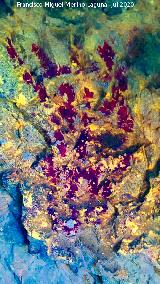 Pinturas rupestres de la Pe�a del Gorri�n IV. Tratada con Dstretch