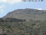 Cerro de la Vicara. Vertiente norte