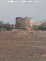 Castillo de La Malena. 