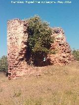 Castillo de La Malena. 