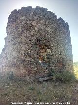 Castillo de La Malena. 