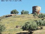 Castillo de La Malena. Muralla y Torren