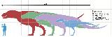 Tiranosaurio - Tyrannosaurus rex. Comparacin con el hombre. Wikipedia