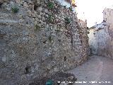 Castillo de la Villa. Muralla Este. 