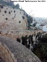 Castillo de la Villa. Muralla Oeste. Desde el torren circular vista del segundo anillo