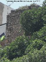 Castillo de la Villa. Torre�n Norte IV. 