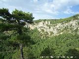 Cerro El Calarico. Paredes rocosas