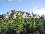 Cerro El Calarico. 