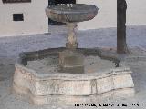 Fuente Baja de San Bartolom. 