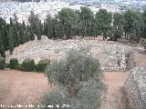 Alcazaba. Excavacin arqueolgica