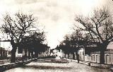 Paseo de Santo Cristo. Foto antigua