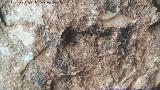 Pinturas rupestres del Abrigo I de la Pedriza. Grupo V. 