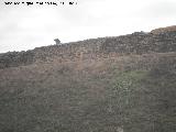 Cstulo. Murallas. 