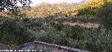 Cerro Salto de la Yegua. Desde la Alberca del Arroyo de la Venta