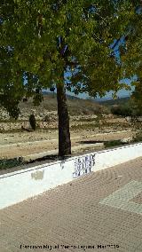 Paseo Virgen de la Consolacin. 