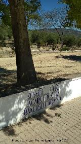 Paseo Virgen de la Consolacin. 