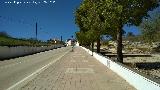 Paseo Virgen de la Consolacin. 