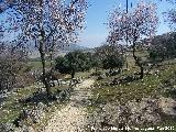 Santuario ibrico de la Cueva de la Lobera. Camino de la Cueva de la Lobera