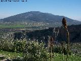 Cerro San Cristbal. 