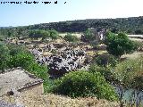 Yacimiento paleoltico Terrazas del Guadalimar. 