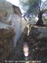 Cortijo de Pedro Requena. Zanja trasera para las aguas